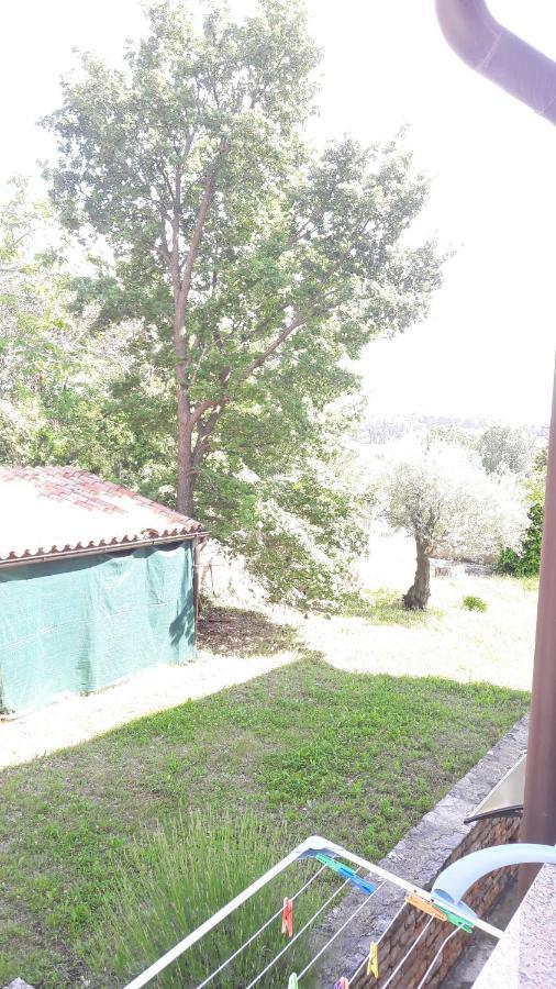 Apartment Radovan Poreč Buitenkant foto