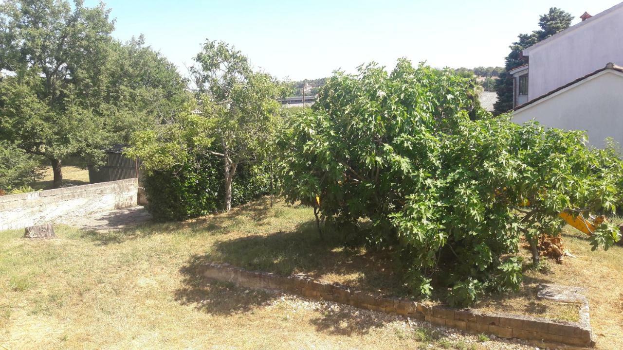 Apartment Radovan Poreč Buitenkant foto