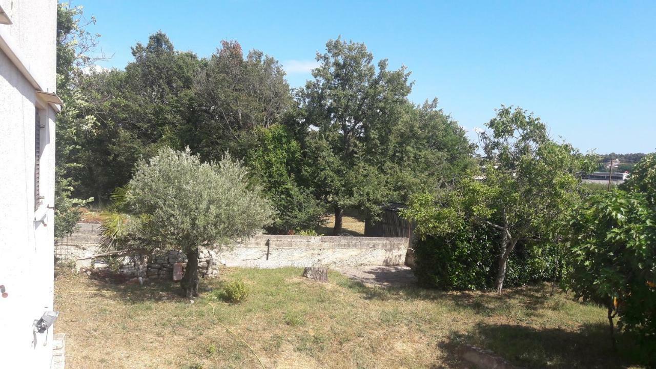 Apartment Radovan Poreč Buitenkant foto